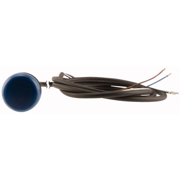 Indicator light, Flat, Cable (black) with non-terminated end, 4 pole, 1 m, Lens Blue, LED Blue, 24 V AC/DC image 2