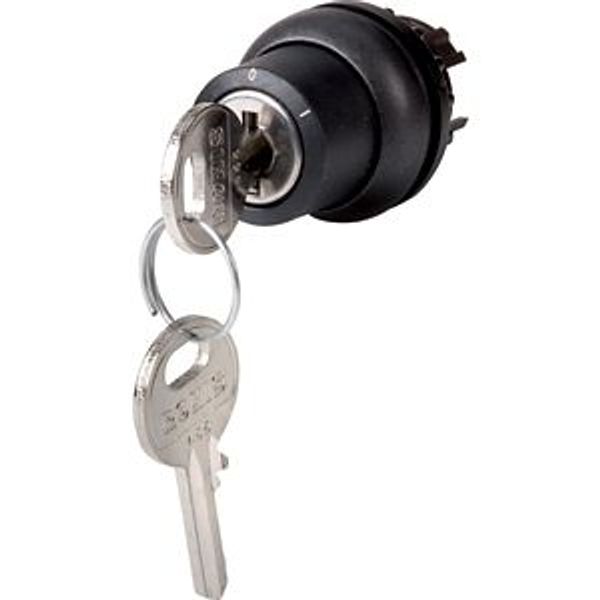 Key-operated actuator, momentary, 2 positions, Ronis 455, Key withdrawable: 0, Bezel: black image 2