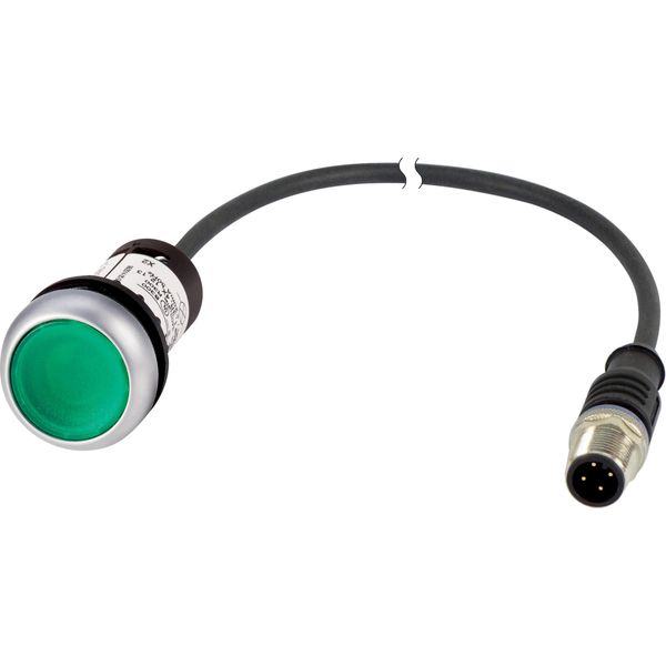 Illuminated pushbutton actuator, Flat, momentary, 1 N/O, Cable (black) with M12A plug, 4 pole, 0.5 m, LED green, green, Blank, 24 V AC/DC, Bezel: tita image 3