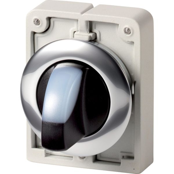 Illuminated selector switch actuator, RMQ-Titan, With thumb-grip, maintained, 3 positions, White, Metal bezel image 7
