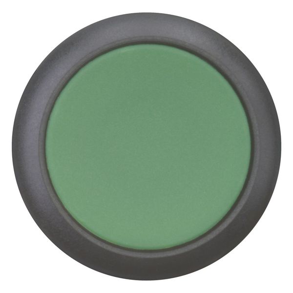 Pushbutton, RMQ-Titan, Flat, momentary, green, Blank, Bezel: black image 4