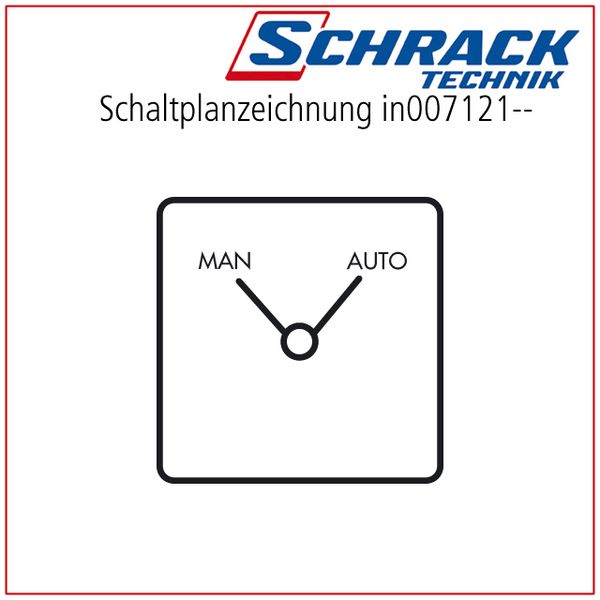 Change over switch w/o zero pos. 1 pole, 20A, MAN-AUTO image 9