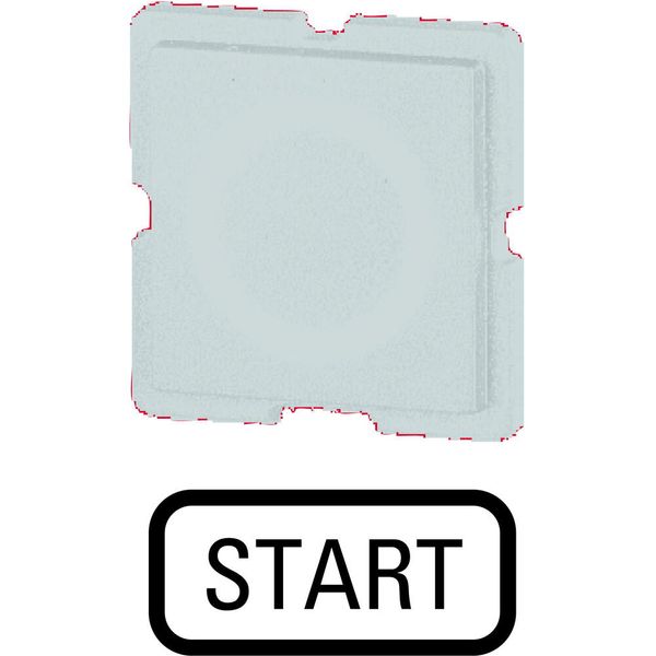 Button plate, white, START image 2