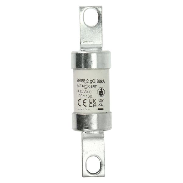 Fuse-link, LV, 100 A, AC 415 V, BS88/A4, 27 x 110 mm, gM, BS, 100M160 image 14