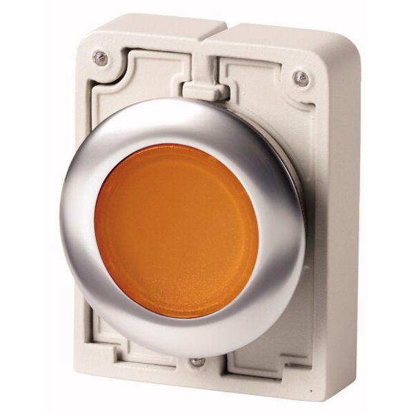 Illuminated pushbutton actuator, RMQ-Titan, flat, maintained, orange, blank, Front ring stainless steel image 1