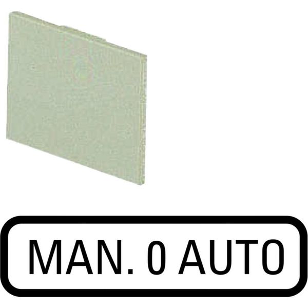 Insert label, HAND 0 AUTO image 3