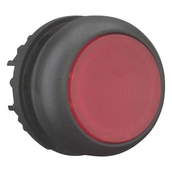 Illuminated pushbutton actuator, RMQ-Titan, Flush, maintained, red, Blank, Bezel: black image 7