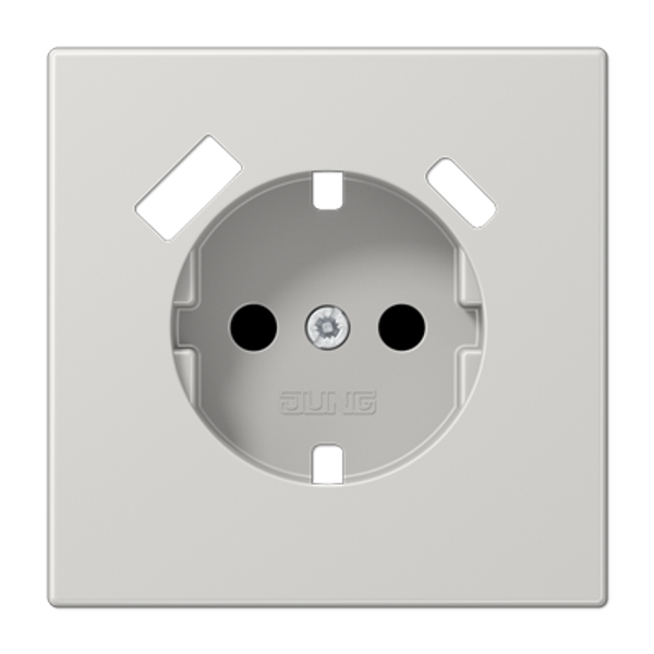 Centre plate SCHUKO® sockets LS1520-15CAPLLG image 1