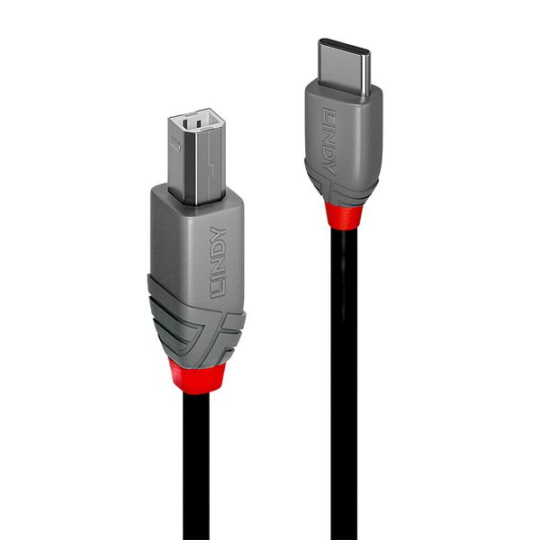 0.5m USB 2.0 Type C to B Cable, Anthra Line USB Type C Male to B Male image 1