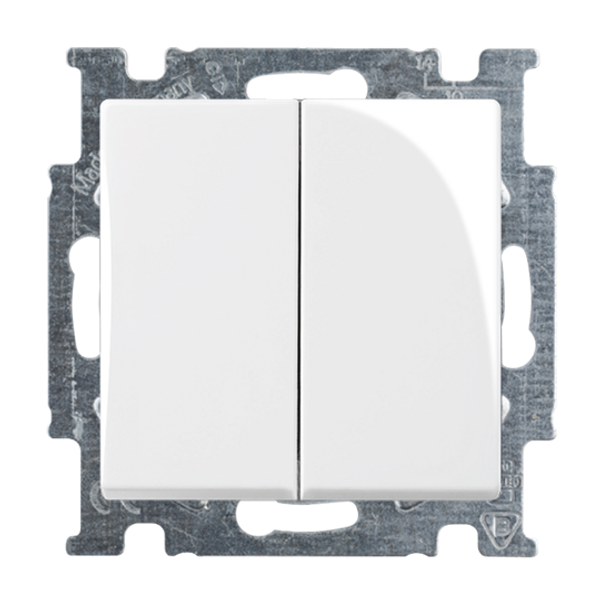 2006/6/6 UC-94-507 Cover Plates (partly incl. Insert) Rocker/button Alternating-/alternating switch alpine white - Basic55 image 1