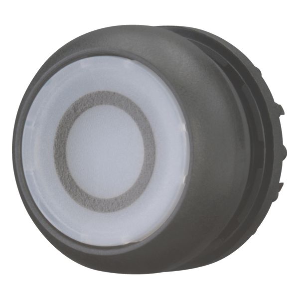 Illuminated pushbutton actuator, RMQ-Titan, Flush, maintained, White, inscribed 0, Bezel: black image 9