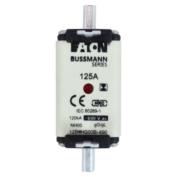 Fuse-link, LV, 125 A, AC 690 V, NH00, gL/gG, IEC, dual indicator, insulated gripping lugs image 6