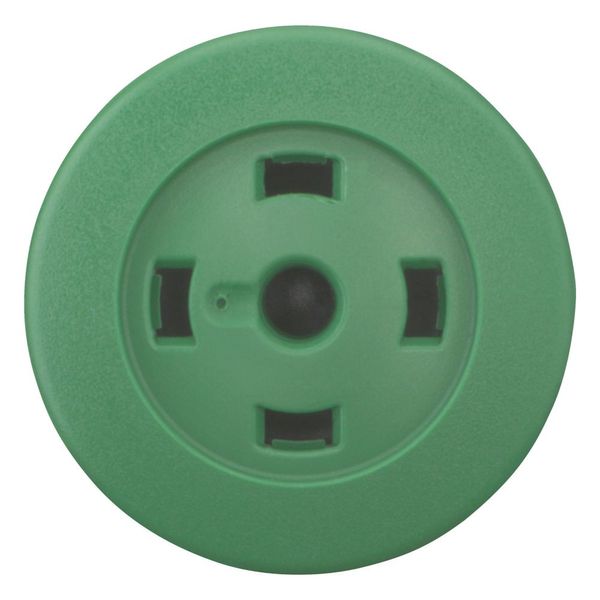 Mushroom actuator, RMQ-Titan, Mushroom, momentary, Mushroom green, Without button plate, Bezel: titanium image 9