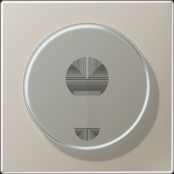 Centre plate f. key switch ES2928 image 5