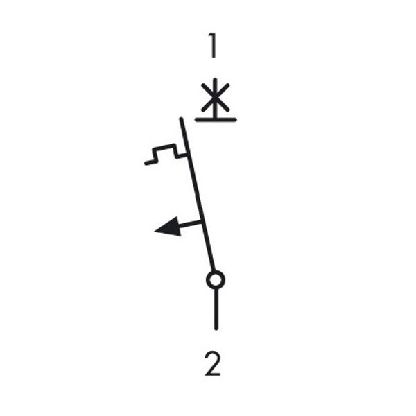 Miniature Circuit Breaker (MCB) AMPARO 10kA, D 20A, 1-pole image 9