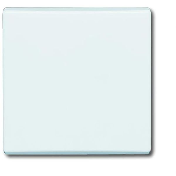 2106-32 CoverPlates (partly incl. Insert) carat® White image 1