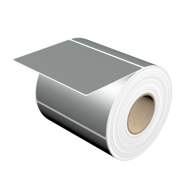Device marking, Self-adhesive, 101.6 mm, Polyester, silver image 2