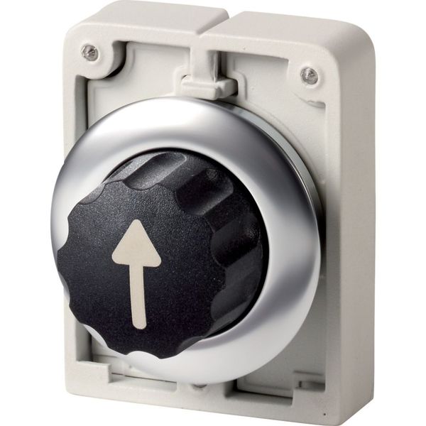 Changeover switch, RMQ-Titan, with thumb-grip, maintained, 3 positions, Front ring stainless steel, arrow up image 4