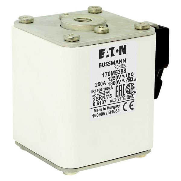 Fuse-link, high speed, 250 A, AC 1250 V, size 2, 61 x 75 x 77 mm, aR, IEC, UL, single indicator image 9