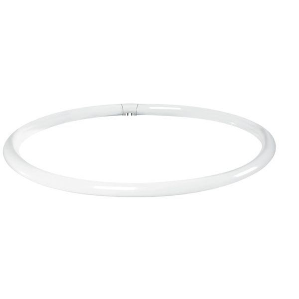 Fluorescent Lamp T9 Ring, Ø 30 mm, 40 W, G10q, 2700 K, Warm Tone, Opal image 1