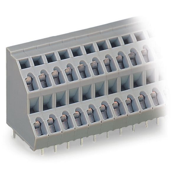 Double-deck PCB terminal block;2.5 mm²;Pin spacing 5 mm;gray image 2