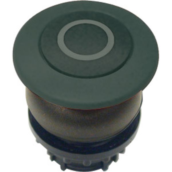 Mushroom actuator, RMQ-Titan, Mushroom, maintained, Mushroom black, black, inscribed, Bezel: black image 1