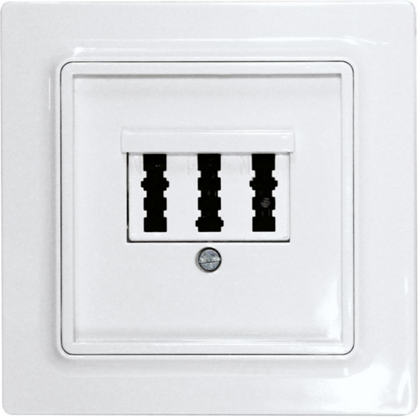 3-socket TAE cover for E-Design55 frames, polar white mat image 1