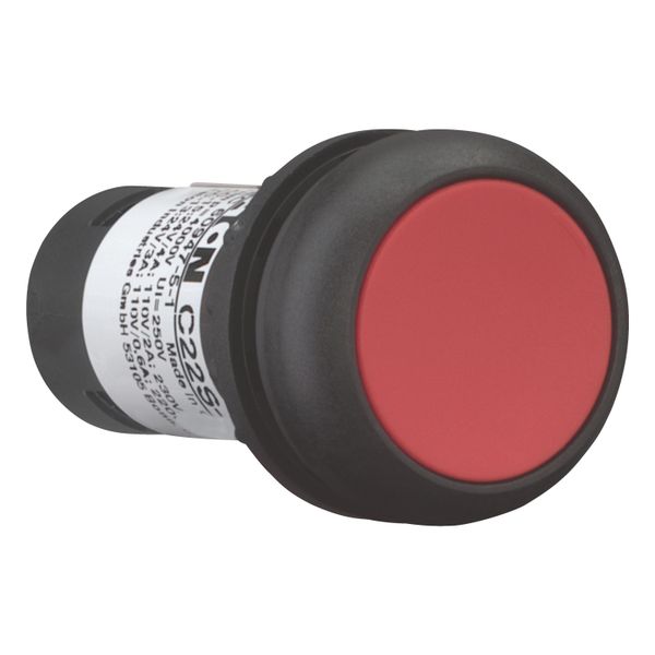 Pushbutton, Flat, momentary, 1 NC, 1 N/O, Screw connection, red, Blank, Bezel: black image 13