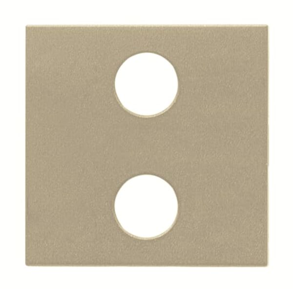 N2221.2 CV Cover plate for Switch/push button Central cover plate Champagne - Zenit image 1