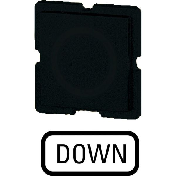 Button plate for push-button, Inscription: DOWN, 25 x 25 image 3