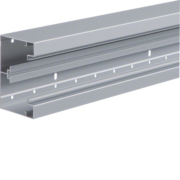 BRA 85130/1 Nat.anod. Trunking base image 1