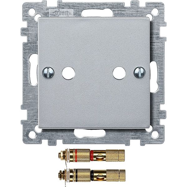 Central plate with high-end speaker connector, aluminum, System M image 1