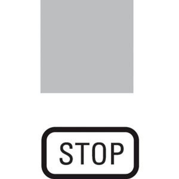 Insert label, transparent, STOP image 4