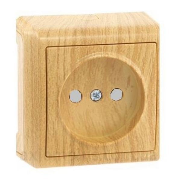 Vera Oak UPS Socket Child Protection image 1