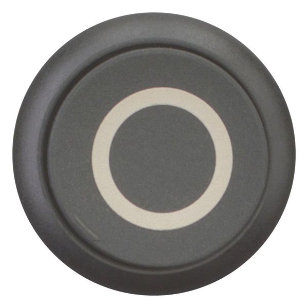 Pushbutton, RMQ-Titan, Extended, maintained, black, inscribed, Bezel: black image 3