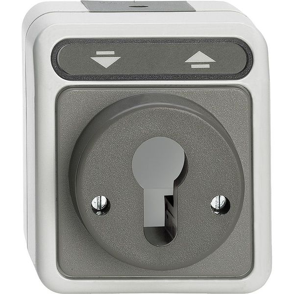 Roller shutter button for locking cylinder, light gray, AQUASTAR image 1