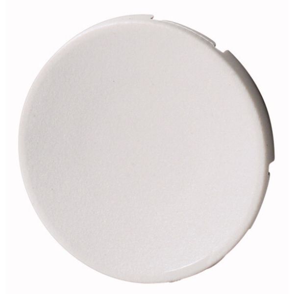 Button plate, flush, gray image 1