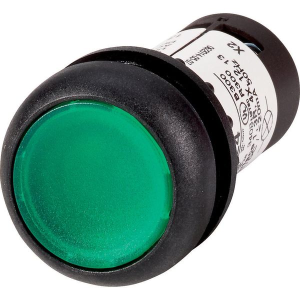 Illuminated pushbutton actuator, Flat, maintained, 1 N/O, Screw connection, LED green, green, Blank, 230 V AC, Bezel: black image 2