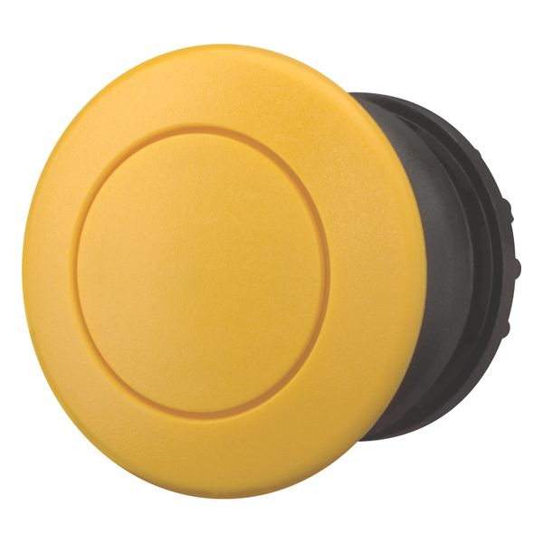 Mushroom actuator, RMQ-Titan, Mushroom, maintained, Mushroom yellow, yellow, Blank, Bezel: black image 8