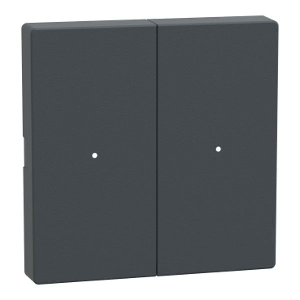 Rockers for 2-gang push-button module, anthracite, System M image 2