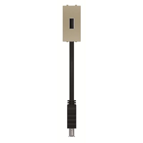 N2155.91 CV USB outlet USB Champagne - Zenit image 1