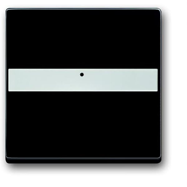 1764 NLI-81 CoverPlates (partly incl. Insert) future®, Busch-axcent®, carat®; Busch-dynasty® Anthracite image 1