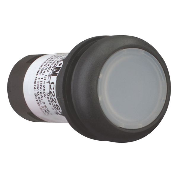 Illuminated pushbutton actuator, Flat, maintained, 1 N/O, Screw connection, LED white, White, Blank, 230 V AC, Bezel: black image 6