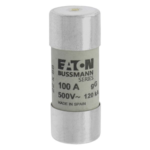 Fuse-link, LV, 100 A, AC 500 V, 22 x 58 mm, gL/gG, IEC, with striker image 12