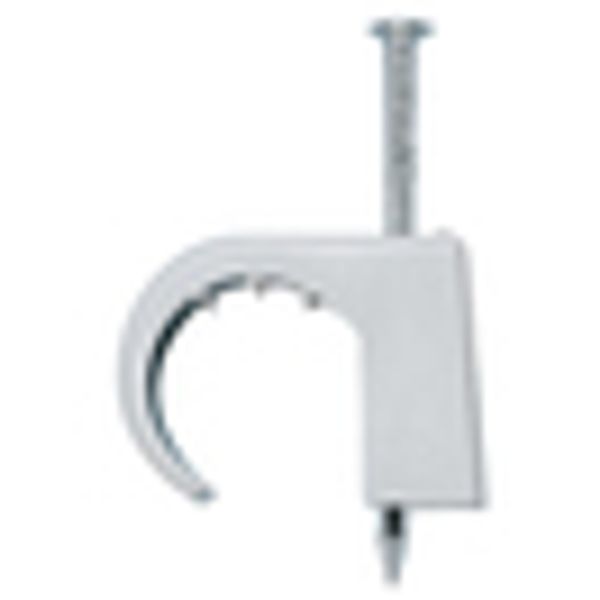Wall nail clip with steel nail 7-12mm/2.0x25mm image 2