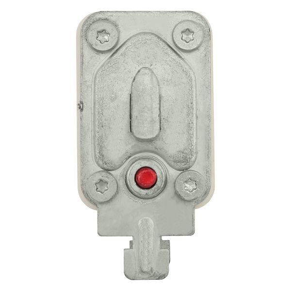 Fuse-link, high speed, 125 A, AC 690 V, DIN 00, 30 x 60 x 79 mm, gR, DIN, IEC, single indicator image 13