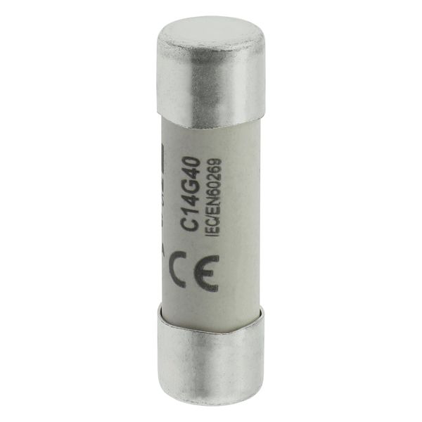 Fuse-link, LV, 40 A, AC 500 V, 14 x 51 mm, gL/gG, IEC image 19