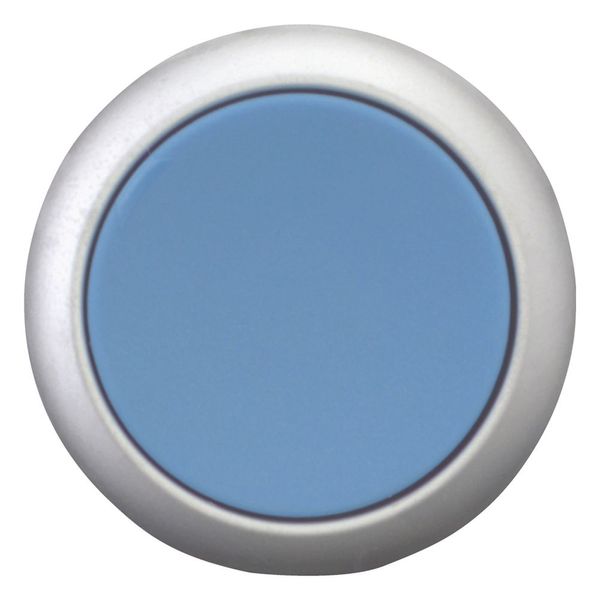 Release pushbutton, blue, Bezel: titanium image 4