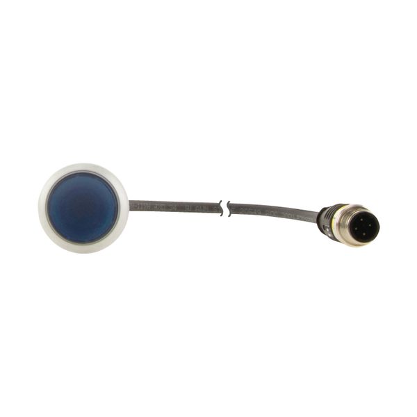 Illuminated pushbutton actuator, Flat, momentary, 1 N/O, Cable (black) with M12A plug, 4 pole, 1 m, LED Blue, Blue, Blank, 24 V AC/DC, Bezel: titanium image 9