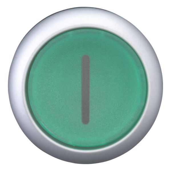 Illuminated pushbutton actuator, RMQ-Titan, Flush, momentary, green, inscribed, Bezel: titanium image 10